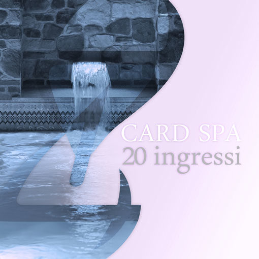 Card SPA 20 ingressi